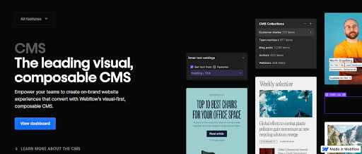 Use Webflow CMS for Managing Client Data