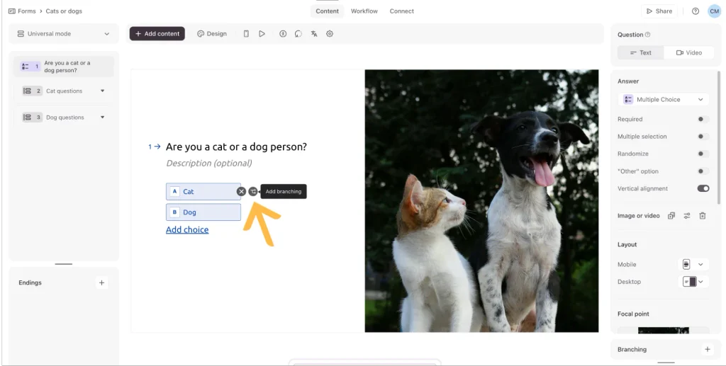 help typeform com